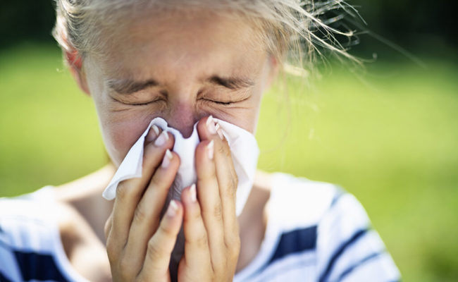 Achtung Pollen: Es wird ein verschnupftes Jahr für die Allergiker