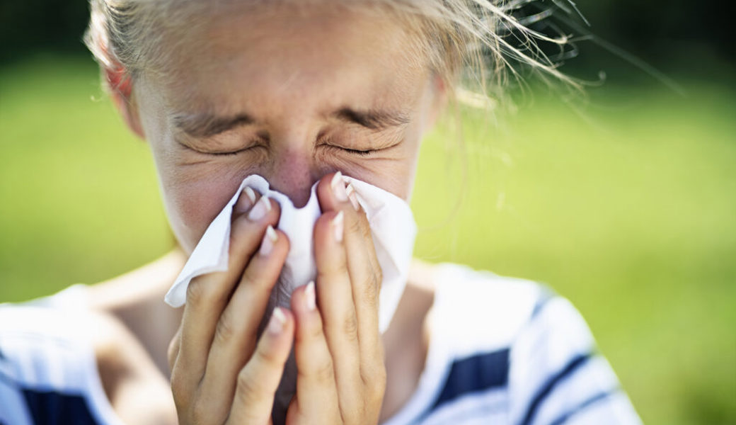  Pollenallergiker werden sich nach der Baumblüte kaum erholen können: Die Gräserblüte steht bevor. 
