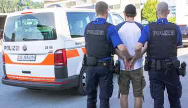 Widerstand bei Kontrolle: Faustschläge und Fusstritte gegen Polizisten