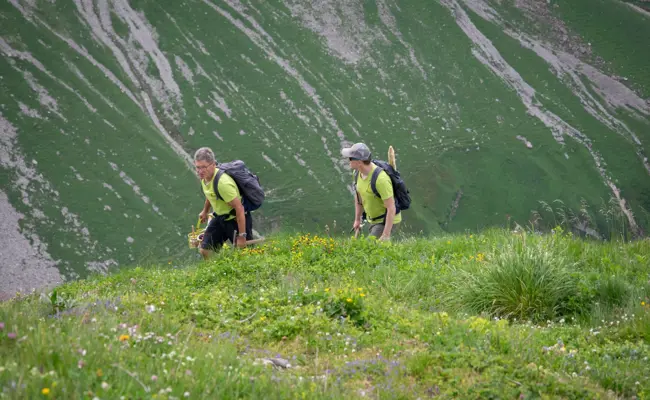 Auf sicherem Pfad zum Lisengrat: Unterwegs mit den Männern, die im Obertoggenburg die Wanderwege pflegen