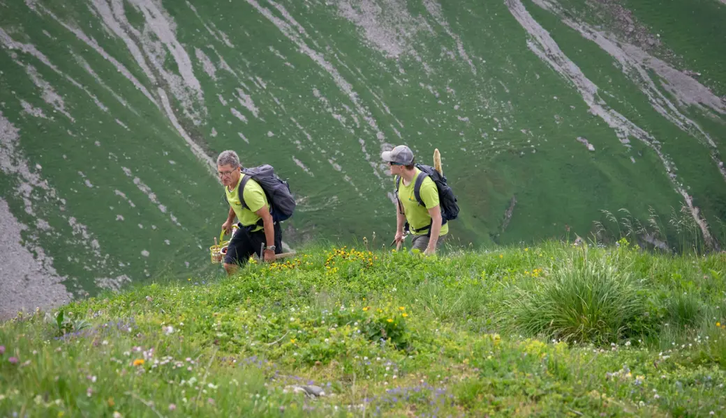 Paul Huber (links) und Viktor Styger begutachten den Weg zwischen dem «Schofbode» und dem Chalbersäntis im Obertoggenburg.