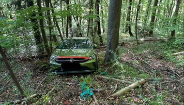 Navi lotst auf Waldweg: Frau stürzt mit ihrem Auto ab