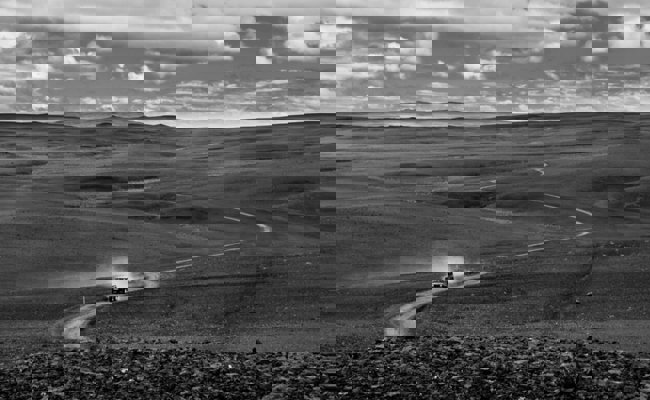 Fotoclub Werdenberg gewinnt vier Medaillen und zwölf Diplome an schweizweitem Wettbewerb