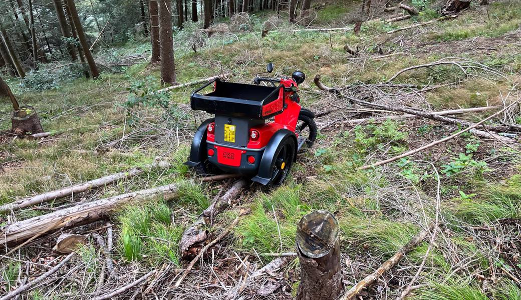 Der Fahrer wurde verletzt. 