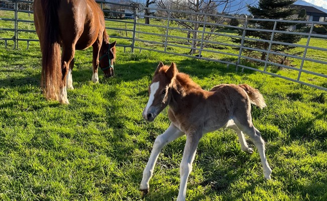 Kinderkram: Ode an den Frühling