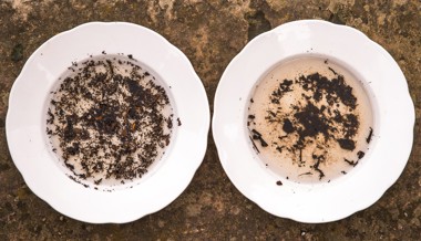 Wie man Kompost im Garten richtig einsetzt