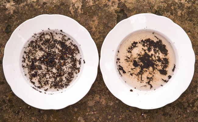 Wie man Kompost im Garten richtig einsetzt