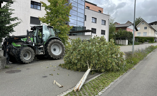 Landespolizei sucht Zeugen nach zwei Selbstunfällen