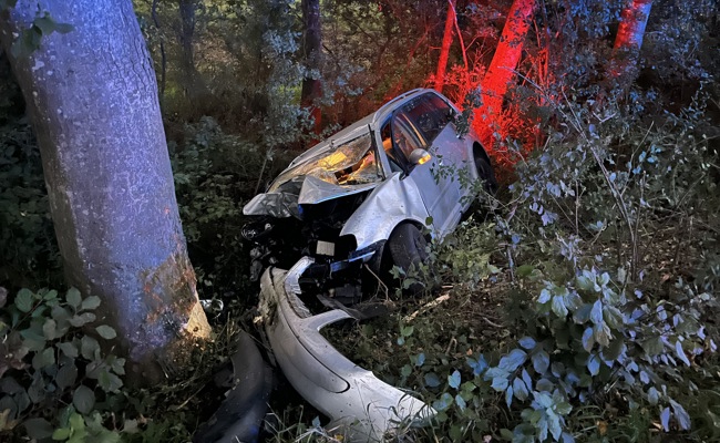 Crash im Riet: 26-Jährige prallt gegen einen Baum