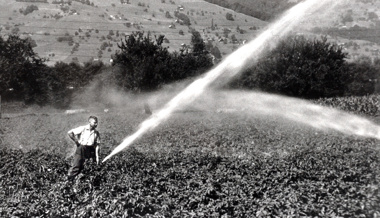Trockenheit im Jahr 1976: Sparsam sein mit Wasser