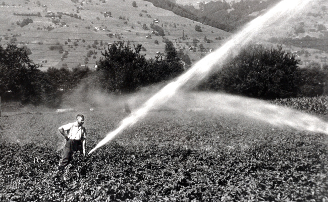 Trockenheit im Jahr 1976: Sparsam sein mit Wasser