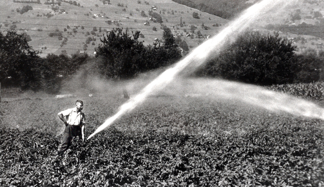 Trockenheit im Jahr 1976: Sparsam sein mit Wasser