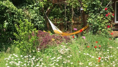 «Mit viel Lärm gegen Biodiversität»