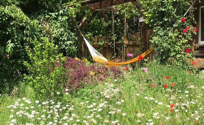 «Mit viel Lärm gegen Biodiversität»