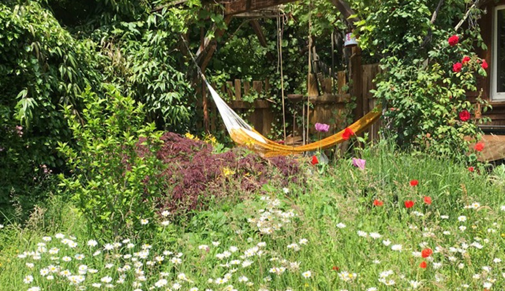 Wie wäre es, von Hängematte oder Liegestuhl aus Blumen, Insekten oder Vögel zu beobachten?