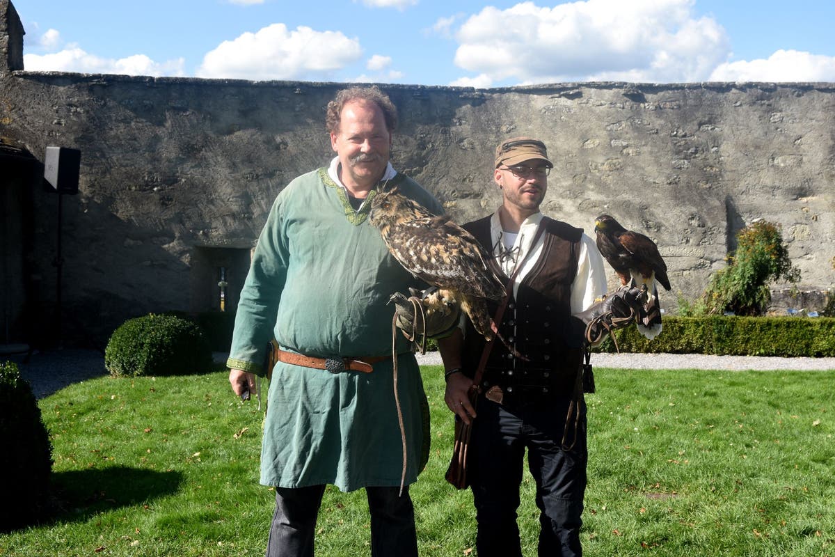 Kein Happy End für Nele: Entflogener Uhu wurde gefunden – und starb im Tierspital
