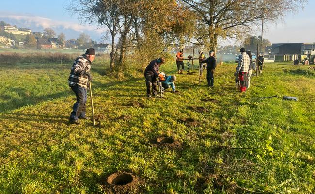 650 Sträucher gepflanzt: Wo Landwirtschaft und Biodiversität zusammenwachsen