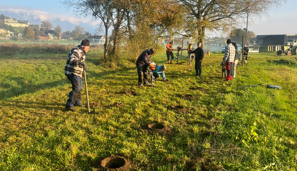 650 Sträucher gepflanzt: Wo Landwirtschaft und Biodiversität zusammenwachsen