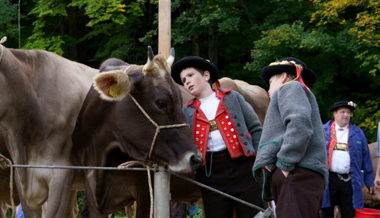 Rangierungen der Viehschau: Einzelne Züchter waren mehrfach auf dem Siegerpodest