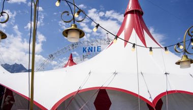 Der Circus Knie schlägt beim Werdenbergersee wieder sein Zelt auf