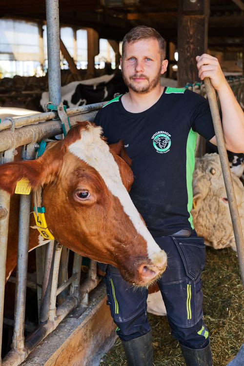«Eine oder zwei Laktationen hätte sie noch gehabt»: Landwirt Christoph Haefely mit Dalia. 