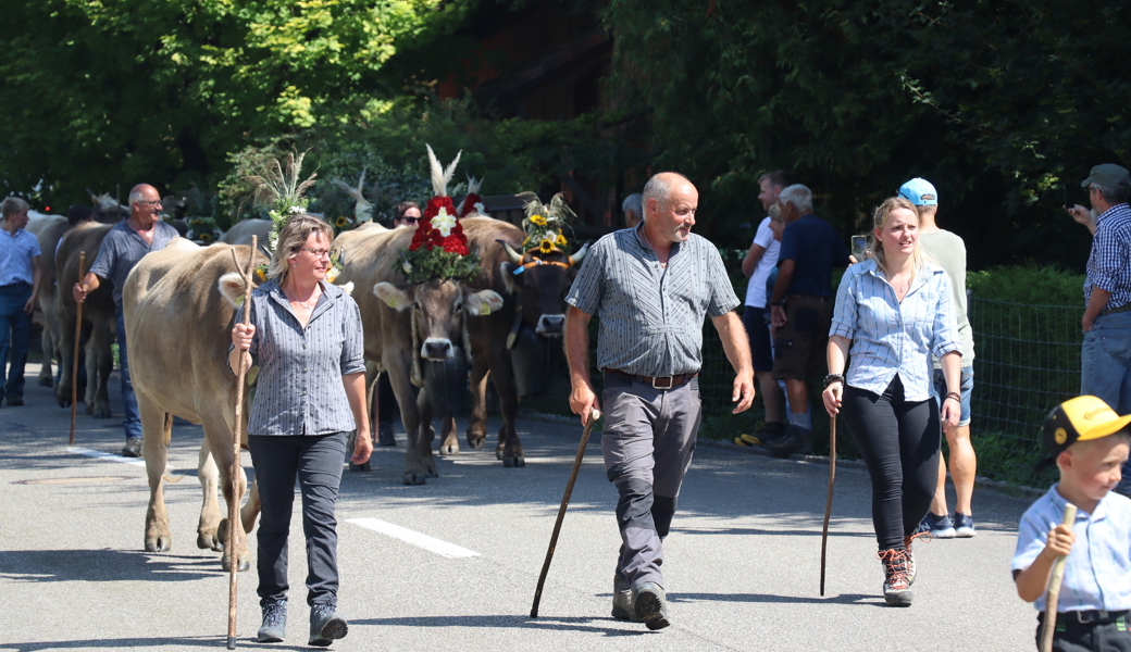 Die letztes Jahr nach vielen Jahren wieder in traditioneller Weise durchgeführte Alpabfahrt hat viel Publikum angezogen und beeindruckt. Daran möchte der neue Verein anknüpfen.