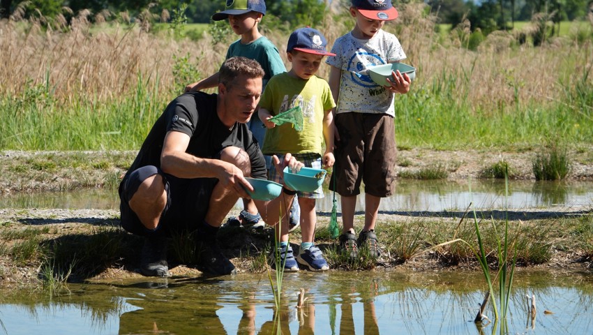 Auch Frösche gingen ins Netz und wurden gespannt betrachtet, bevor sie wieder zurück ins Wasser hüpften. 