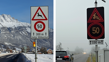 Automatische Wildwarnanlage wirft Fragen zum Tempolimit auf