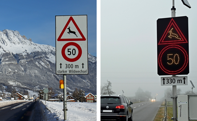 Automatische Wildwarnanlage wirft Fragen zum Tempolimit auf