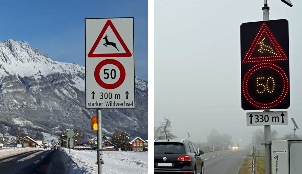 Automatische Wildwarnanlage wirft Fragen zum Tempolimit auf