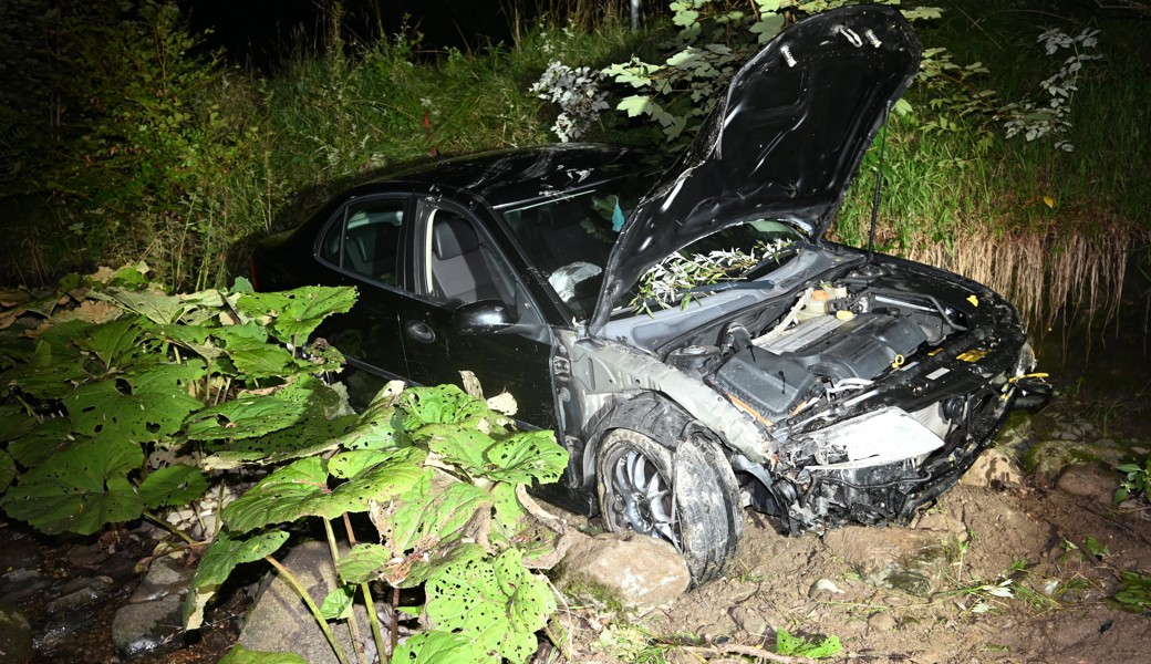 Selbstunfall nach Überholvorgang – Zeugenaufruf