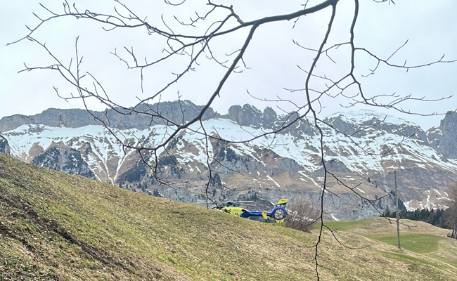 Baum drehte sich unerwartet: 43-Jähriger beim Holzen verletzt