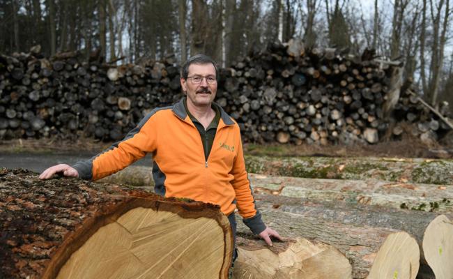 Holz ist nicht gleich Holz: Auch im Wald gibt es «Filetstücke»