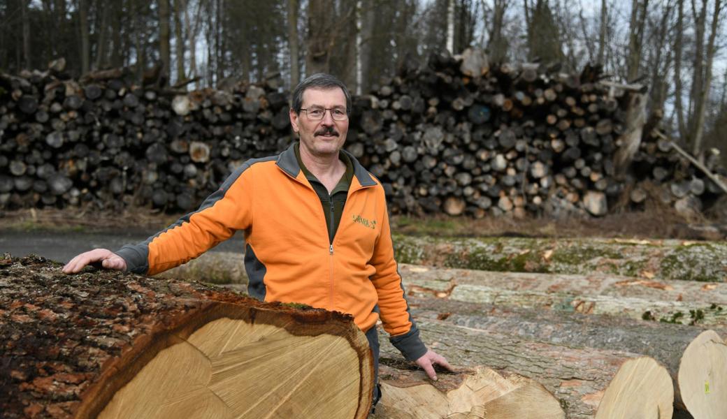 Holz ist nicht gleich Holz: Auch im Wald gibt es «Filetstücke»