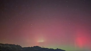 Standort: Plattnachwingert, Buchs. Bild: Daniel Senn