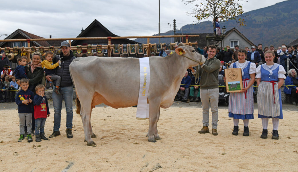  Die Calvin-Tochter Cordula aus dem Stall von Ueli Tischhauser, Oberschan, wurde zur «Miss Werdenberg» gewählt. Bilder: Corinne Hanselmann