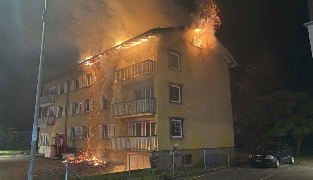 Rund 60 Feuerwehrangehörige rückten aus. 