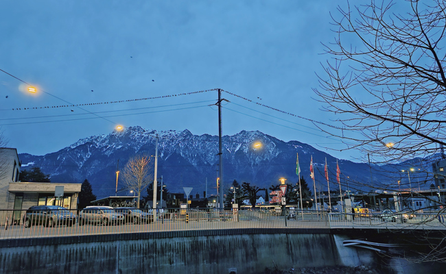 Ein Ort zum Schwärmen: Gefiederte Übernachtungsgäste am Buchser Bahnhof