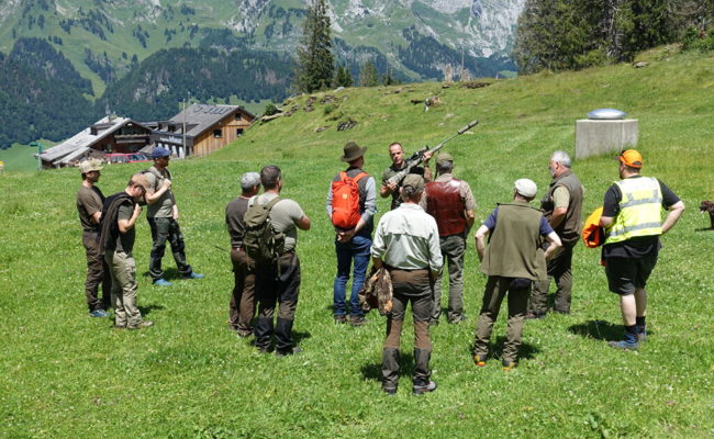 Rund 50 Personen liessen sich auf der Alp Sellamatt von Wildhütern aus der Region weiterbilden