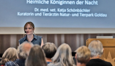 Fledermäuse – fast wie Wesen aus Science-Fiction-Geschichten