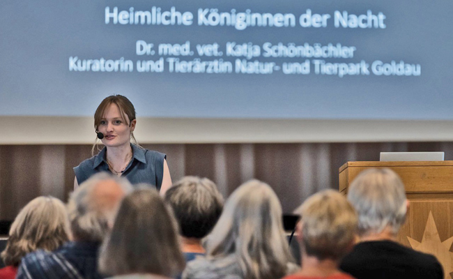 Fledermäuse – fast wie Wesen aus Science-Fiction-Geschichten