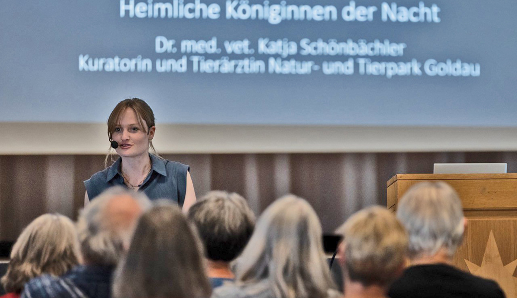Fledermäuse – fast wie Wesen aus Science-Fiction-Geschichten