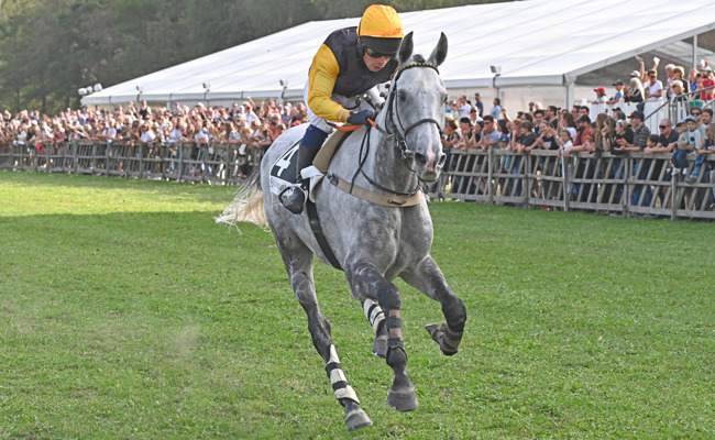 Spannender Sport und Nervenkitzel beim Wetten