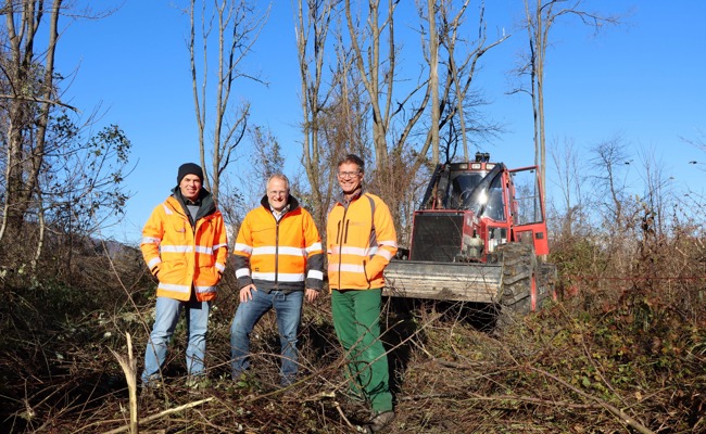 Binnenkanal erweckt Auenwald wieder zum Leben
