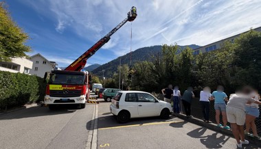 Feuerwehr rettet entkräftete Katze am Plessurufer