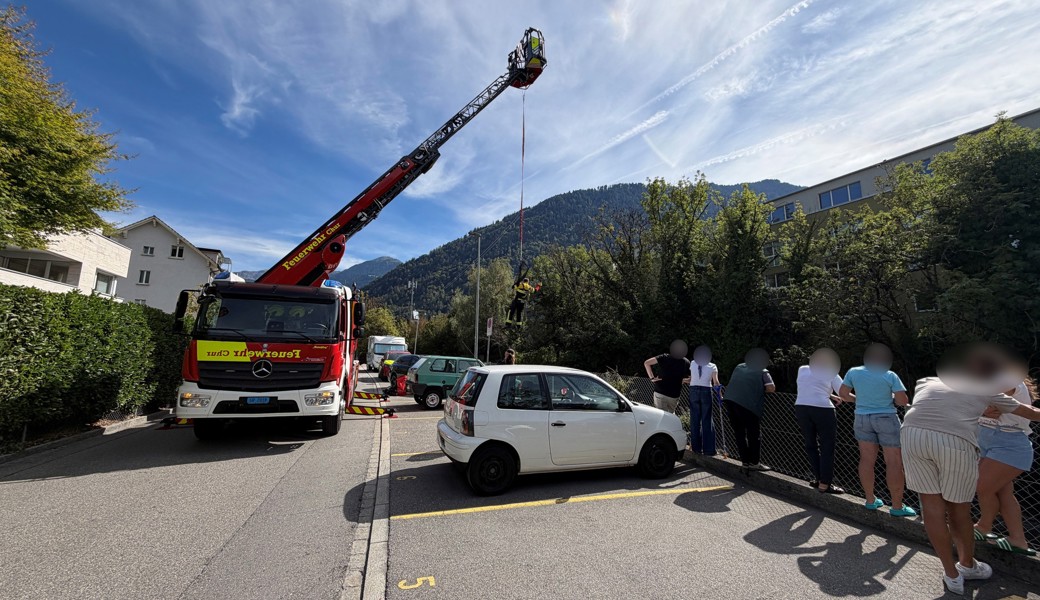 Feuerwehr rettet entkräftete Katze am Plessurufer