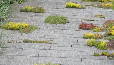 Gartentipp: Not zur Tugend gemacht mit Lebensraum zwischen den Steinen