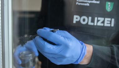 Einbrecher erbeuten unter anderem Generator und Rasenmäher