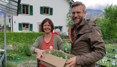 Mitmachen wirkt: Pflanzenaktionen zeigen Erfolg