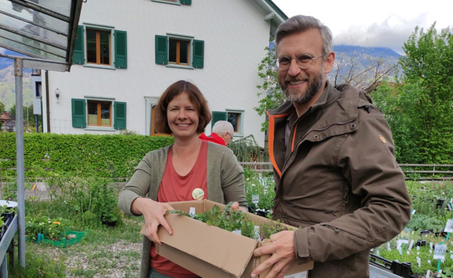 Mitmachen wirkt: Pflanzenaktionen zeigen Erfolg